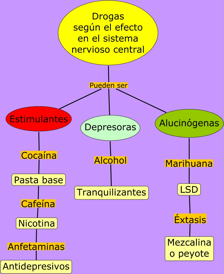 Clasificacion De Las Drogas Segun Sus Efectos 0674